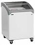 Ларь морозильный TEFCOLD NIC100SCEB 